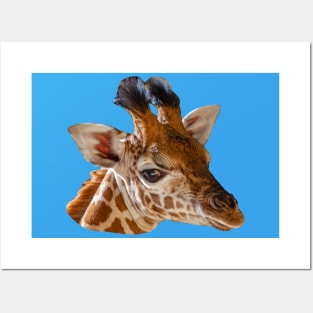 Baby Giraffe head Posters and Art